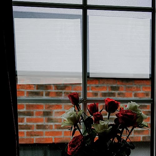 Película adhesiva esmerilada para ventana 100x45 cm miniatura 2