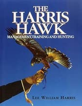 Harris Hawk, The: Management, Training and Hunting
