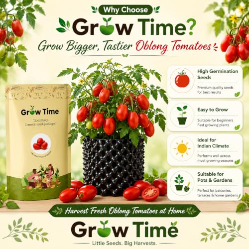 Image of Oblong Tomato Vegetable Seeds, Vegetable Seeds for Home Gardening, Vegetable Planting Seeds for Kitchen, Tomato Seeds (Pack of 2g)