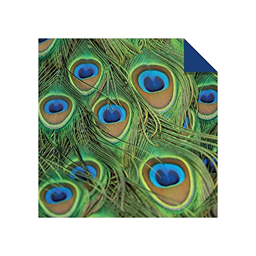 Origami Paper 200 Sheets Nature Photos 8 1/4