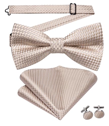 Image of Dubulle Mens Paisley Striped Bowtie Set Pre-tied Bowtie for Men and Pocket Square Set Wedding Business