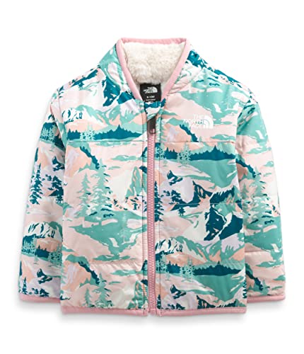 The North Face Baby Reversible Mossbud Jacket, Wasabi Snow Peak Mountains Print, 18-24 Months #TOP20