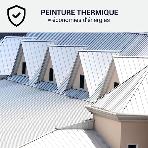 Dachfarbe Coolroof: ARCAREFLECT Weiß - 10 L