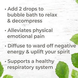 Plant Therapy Palo Santo Essential Oil 100% Pure, Undiluted, Natural Aromatherapy, Therapeutic Grade 5 mL (1/6 oz) Plant Therapy Palo Santo Essential Oil 100 Pure Undiluted Natural Aromatherapy Therapeutic Grade 5 mL 16 oz