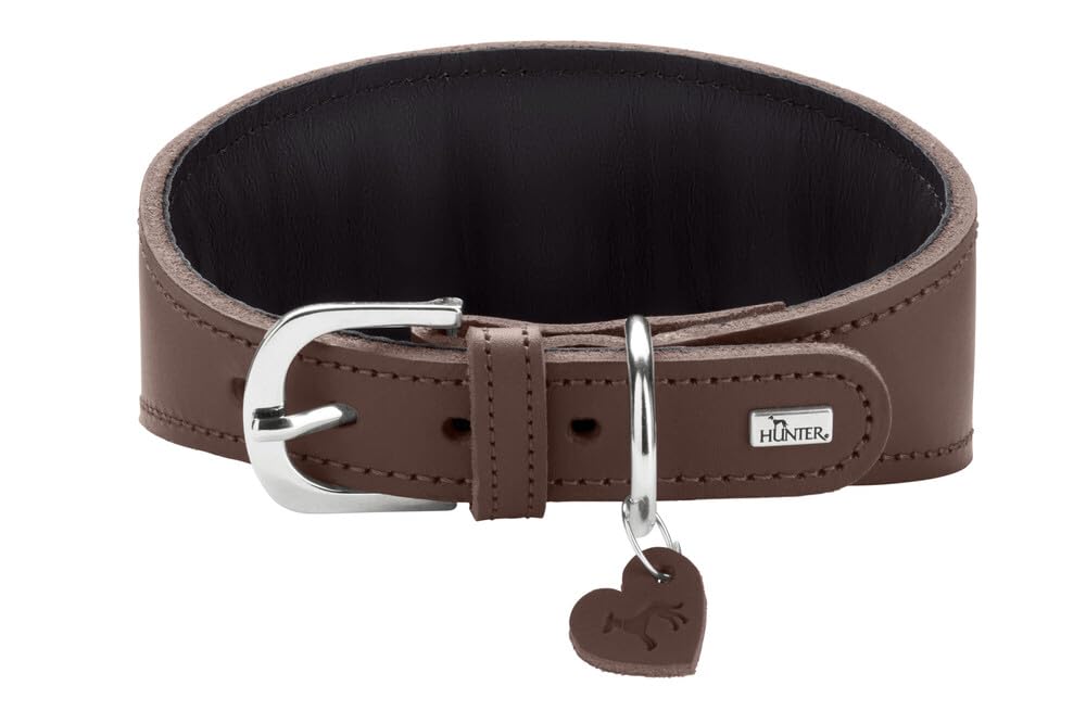 HUNTER Windhundhalsband Love, Farbe: braun/schwarz, weiches, Robustes Rindsleder, einzeln eingenähte Herzen, breitere Form, gepolstert, hoher, Made in Germany, Größe 52