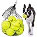EXPAWLORER Dog Squeaky Tennis Balls for Dogs Set of 12 for Pet Playing and Training 2.5"