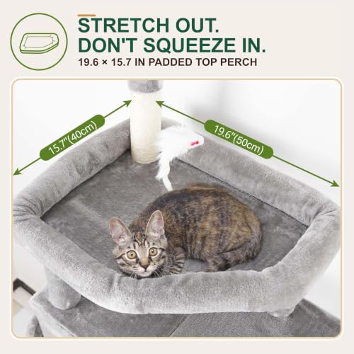 Image of Globlazer Cat Tree for Large Adult Cats, Heavy Duty Indoor Cat Tower, F74B