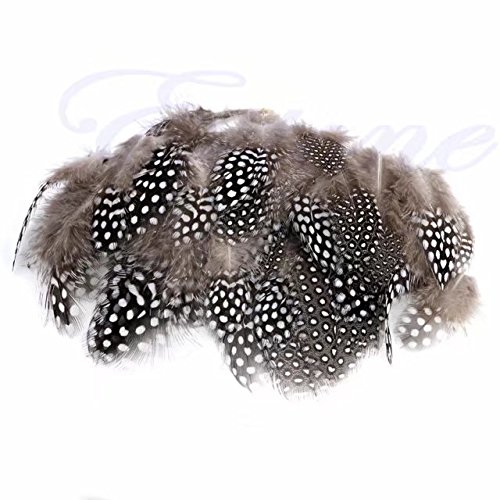 Celine Lin 100Pcs Coloured Spotted Guinea Pheasant Feathers Plume Decoration Accessories 2-4 Inch,Natural Color #TOP4