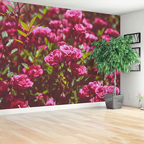 Papier peint camouflage pour masquer les imperfections de mur de salon
