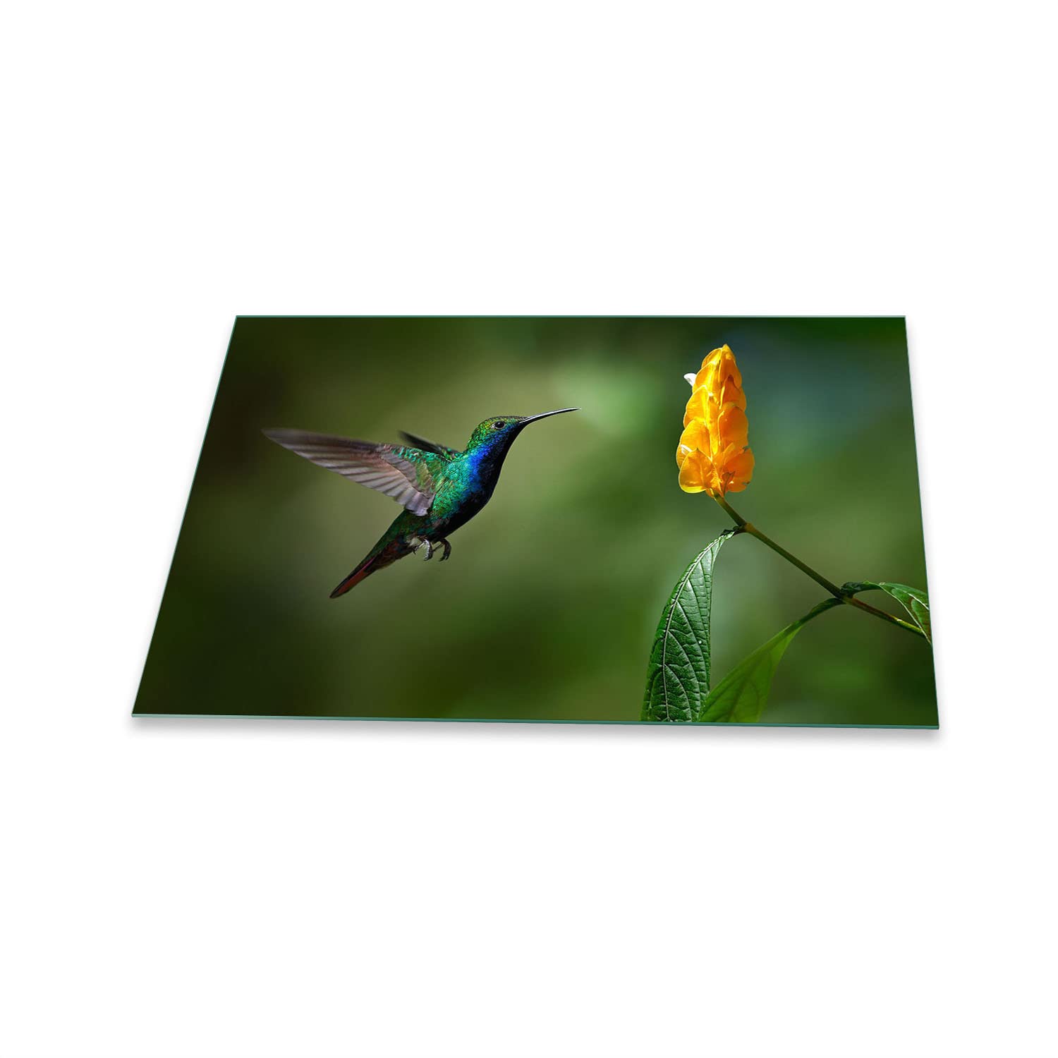 Placa para Cubrir fogones, vitrocerámica, 1 Pieza, 80 x 52 cm, Color Verde Natural, Placas de cocción de Cristal, inducción.