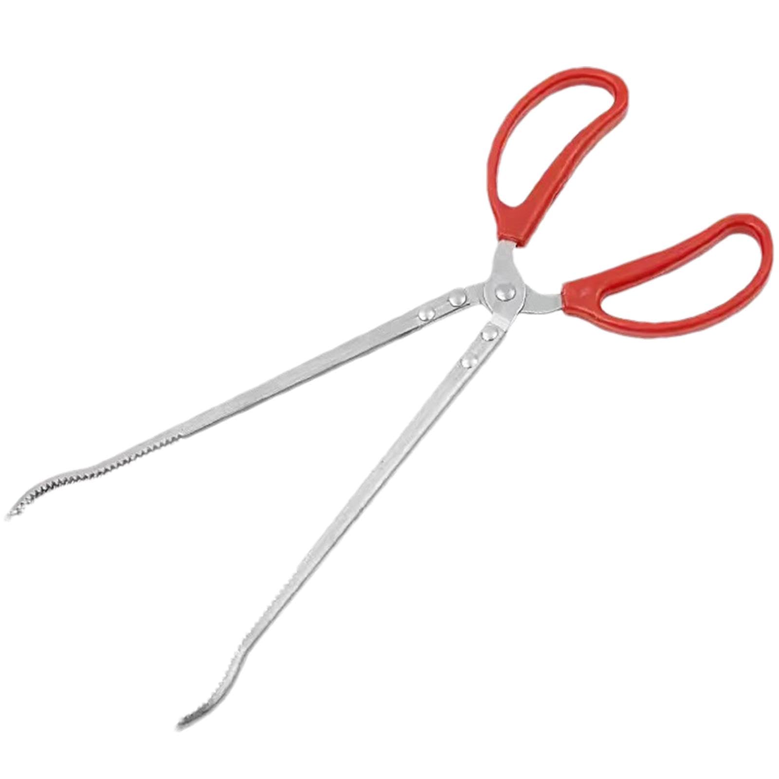 Pince À Nourriture Les Reptiles - 38cm Extra Longues Pince À Nourriture Reptile - Pince pour Nourriture Serpent | pour Terrarium Pythons Boule De Maïs Axolotl Dragon Barbu Fournitures