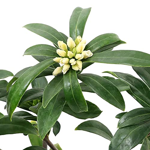 ycharmziR쑐j~ W`EQiԁj ԁiP|bgj