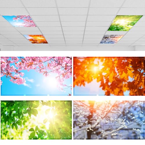 Image of ROCEEI Pack of 4 Fluorescent Light Covers for Ceiling Lights, 4 x 2 Ft, Magnetic Light Covers for Classroom Office Home School Ceiling Decor(Sunshine)