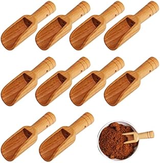 Wooden Spoons 10 Pieces Mini Wooden Spoon Wood Salt and Spice Scoops Wooden Candy Spoon Powder Detergent Spoon Baby Spoon Set Wooden Tea Scoop for Bath Salts Spices