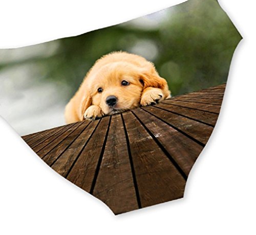 The Crafty Owl 3D Print Briefs Underwear For Women Skull Hands/Animals/Cat/Gog Gothic (Small, Cute Golden Puppy) #TOP1