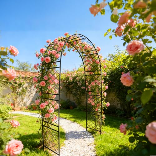 Arco de jardín de metal Relaxdays para plantas trepadoras negro de 240x140x50 cm 3