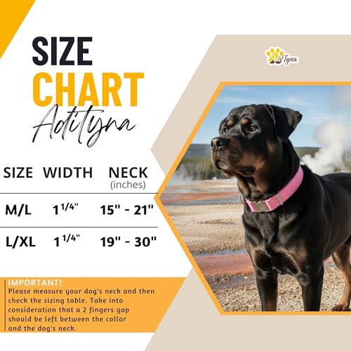 Image of ADITYNA Leather Dog Collar for Large & Extra Large Dogs, Adjustable 19-30 inch | Padded, heavy-duty metal buckle. Great for walking, training - ideal for Rottweiler, German Shepherd, Golden Retriever.