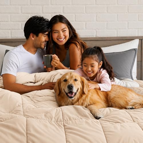 LUX Décor King Bed Comforter - Down Alternative Box Stitched Fluffy Comforter - Duvet Insert 102" x 90" (King, Beige) by LDC LUX DECOR COLLECTION - Image 2