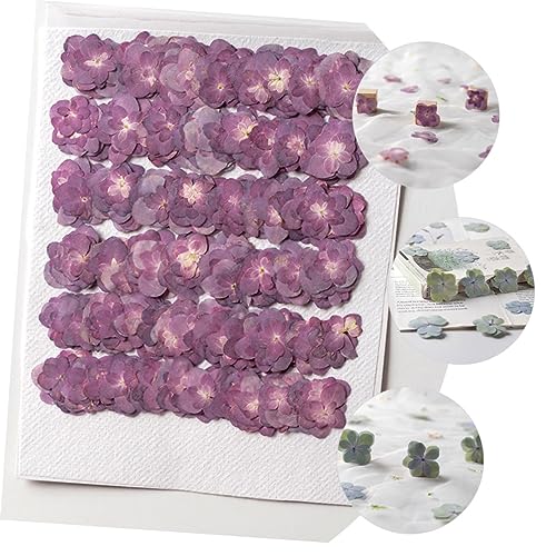 Alipis 30 piezas flores prensadas secas para manualidades miniatura 4