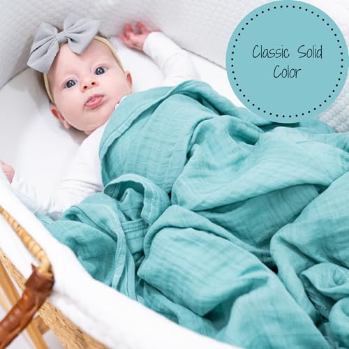 Image of LollyBanks Baby Swaddle Blankets 2 Pack, 100% Cotton Muslin Blankets 47 x 47 Inches, Soft and Breathable Newborn Receiving Blanket for Boys, Cozy Infant Swaddle, Baby Essential (Dinosaur and Blue)
