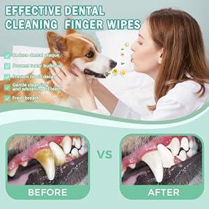   Teeth-Cleaning-Finger-Wipes-for-Dogs-Cats-Reduces-Plaque-Freshens-Breath-Teeth-Care-Wipes-Easy-to-Use-Disposable-Gentle-Cleaning-Gum-Care-Pet-Wipes-No-Rinse-Dog-Finger-Wipes50-Counts