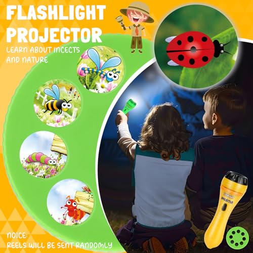 Loscola LCPF-ORANGE-CA Kids Explorer Kit & Bug Catcher Kit thumb #3