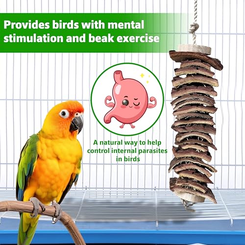 CONGO-NATURAL-PARROT-TREAT-Wooden-Deworming-Assorted-Wooden-Chew-Toys-For-Conure-African-Grey-Amazon-Parrot-Macaw-Cockatoos-And-Other-Birds