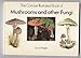 The Concise Illustrated Book of Mushrooms and Other Fungi