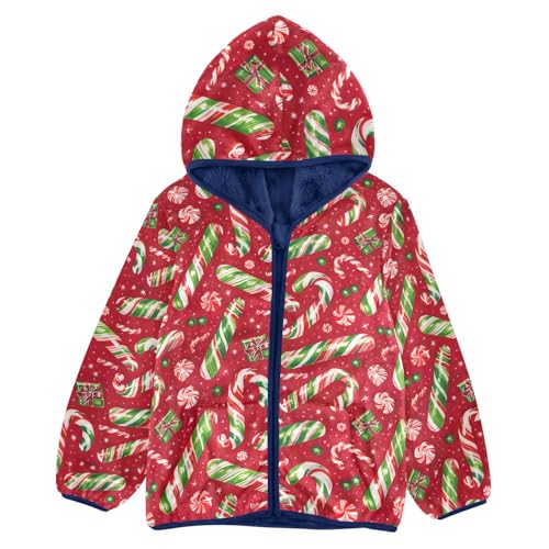 CHIFIGNO Hamburgers Sweatshirt Jacket with Hood Toddler Boy Hoodies for Fall Winter Toddler Zip up Hoodie Boy 3T