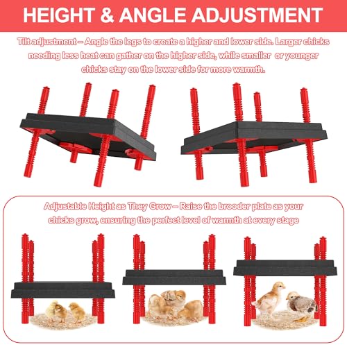 Tiflev Chick Brooder Heating Plate with Anti Stand Cone, Brooder Heater for Chicks (10" x 10" Black) — view 4