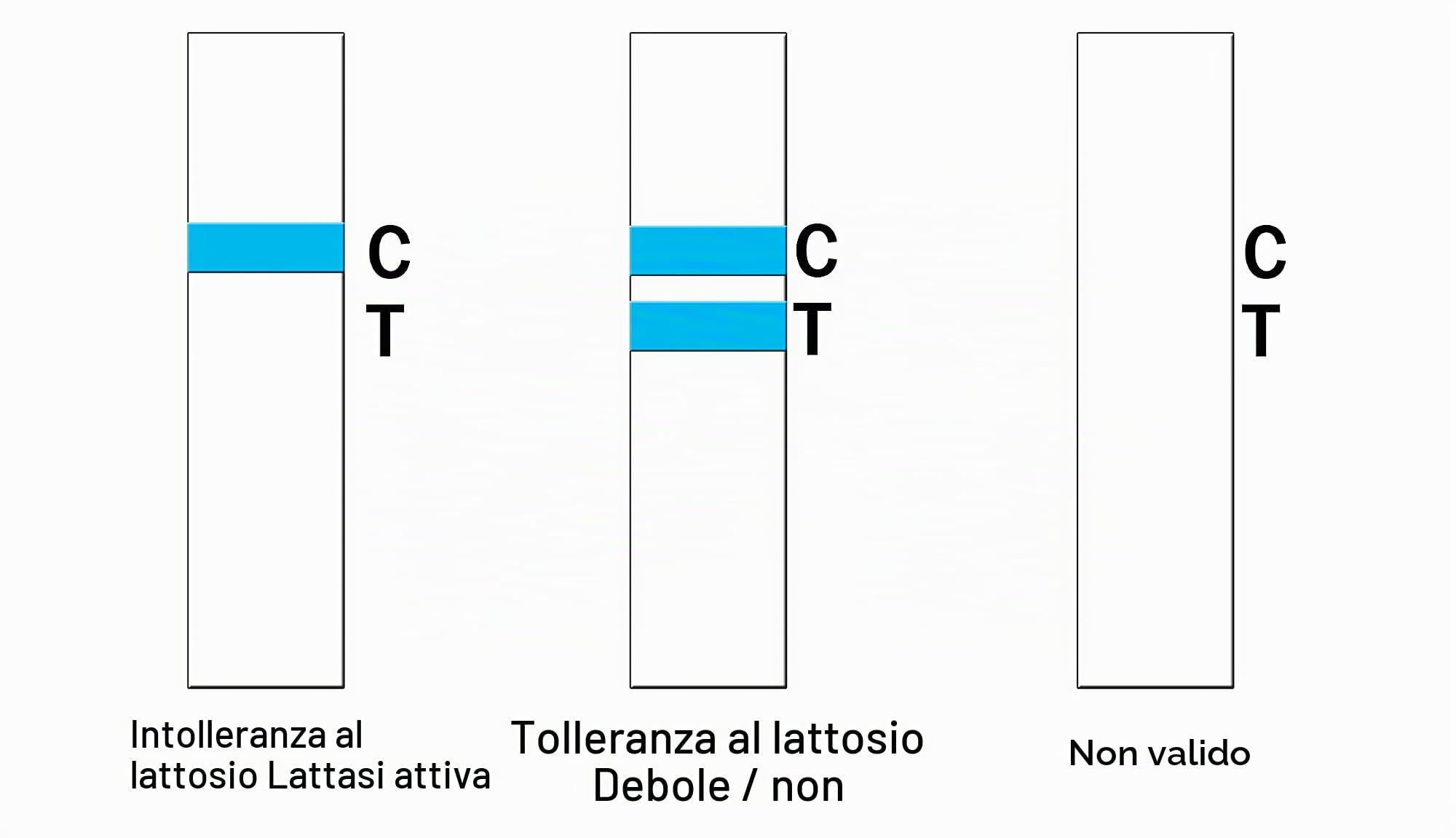Strisce reattive per intolleranza al lattosio a casa, test di attività alla lattasi, test di sensibilità alimentare, 2 pezzi