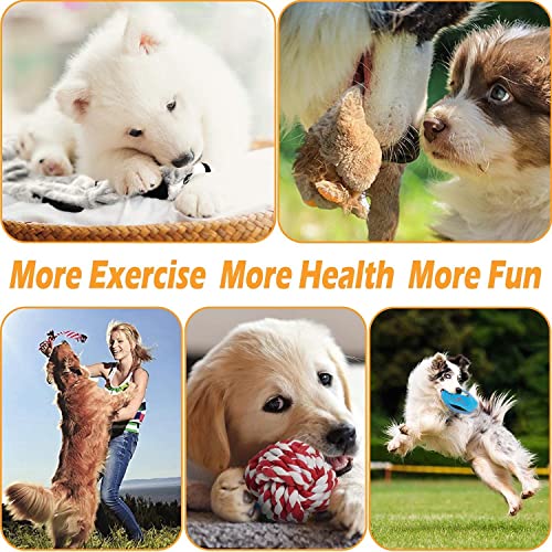 Image of Dog Rope Toys + Chew Toys, Combo (Pack of 7)