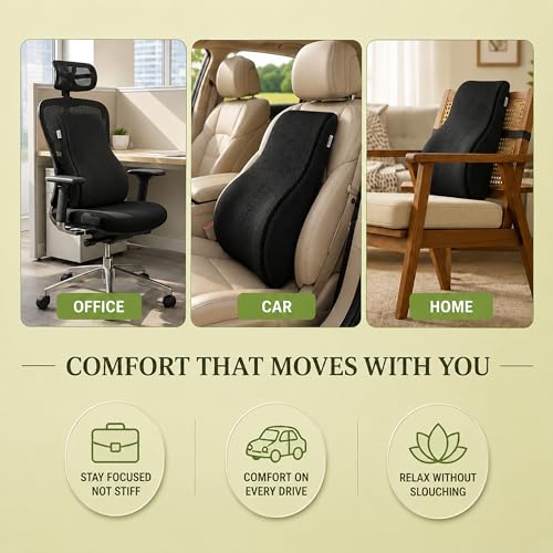 Image of Memory Foam Lumbar Back Support Cushion for Office Chair & Car Seat | Ergonomic Lower Back Pillow for Posture Support & Sitting Comfort | Breathable Cover | 1 Year Warranty (Black)