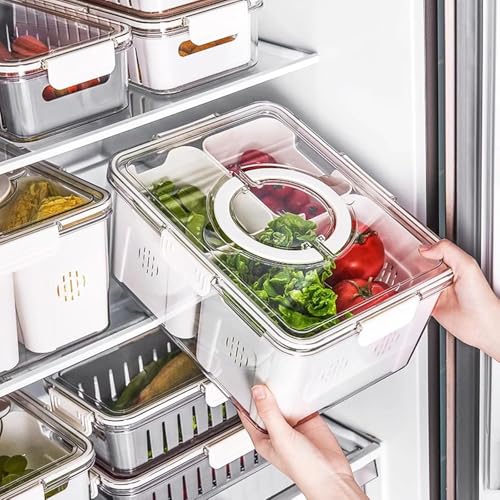 Image of Vasukie Divided Fridge Storage Boxes With 4 Serving Veggie Tray with Lid and Handle, Fridge Organizer with Removable 4 Compartment, Fridge Storage Containers (4 Large Compartment-1PC)