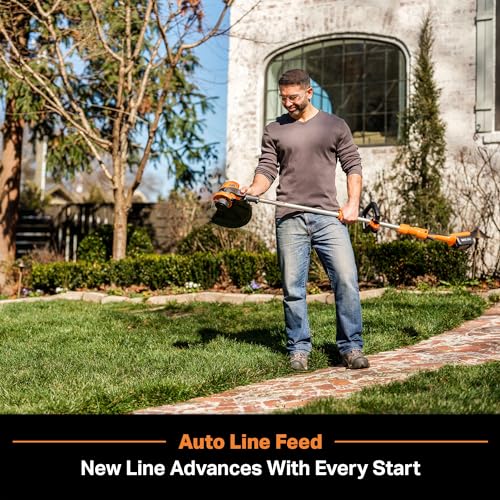 Image of LawnMaster CLGT2412S 24V 12 inch Cordless String Trimmer 2.0AH Battery & Charger Included