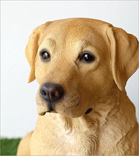 Amazon.co.jp: 犬 置物 オブジェ アニマル ドッグオーナメント