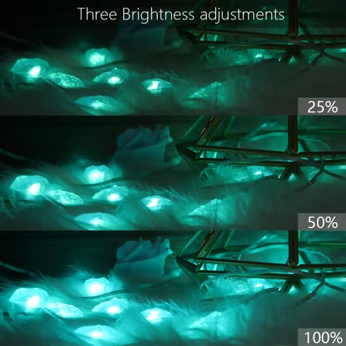 Makergroup Led Fairy Light For Kids Room Décor, Smart String Lights With Usb Port, Remote And App Control (Million Colors, Timer, Music Sync) For Holiday Party Decorative Lighting 16.4Ft Diamond #TOP6