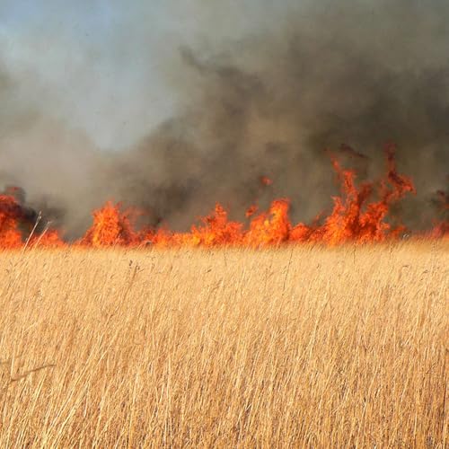 A Single Spark Can Start a Prairie Fire (January 1930) (Part One)