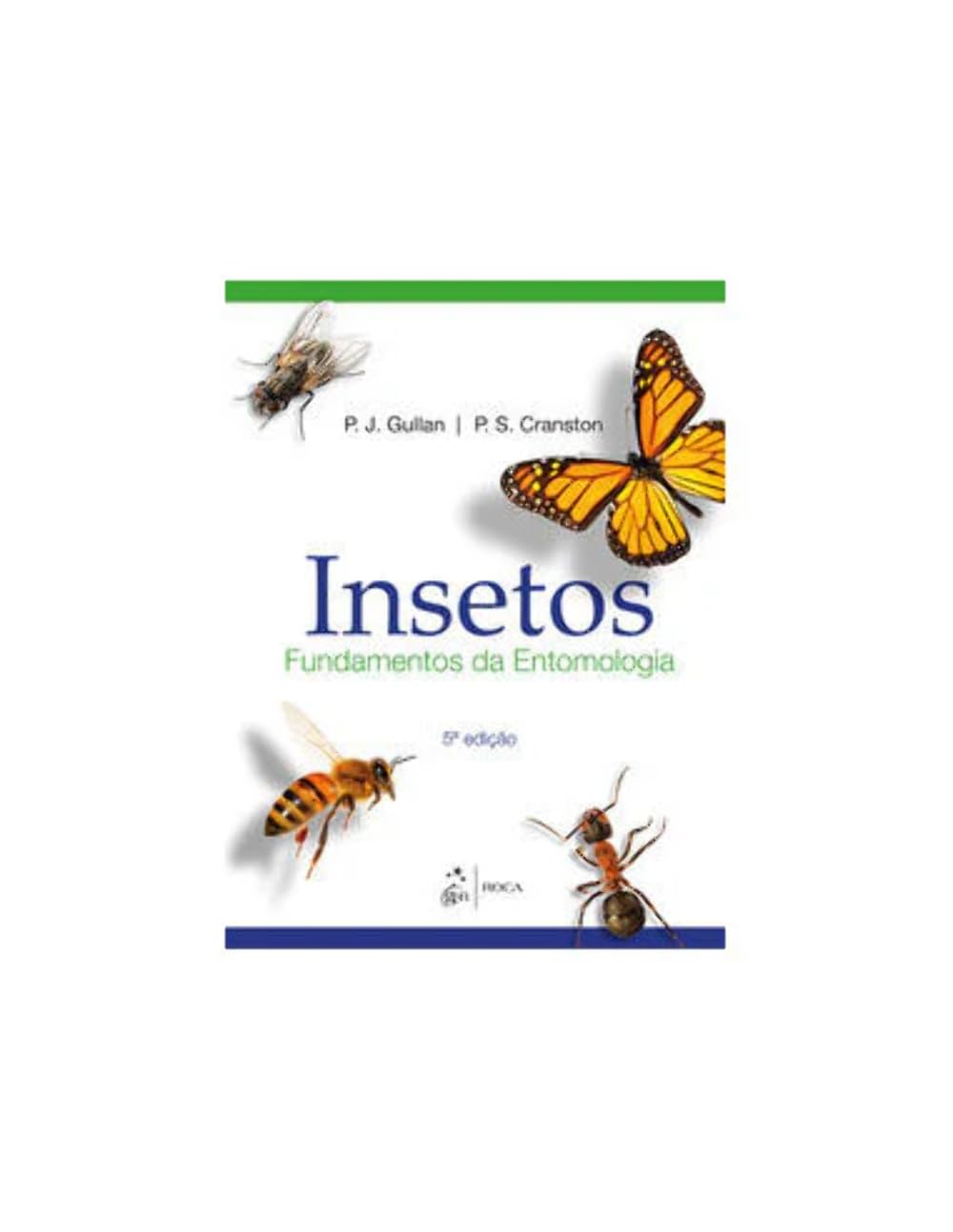 Insetos livre entomologie pour identifier les espèces