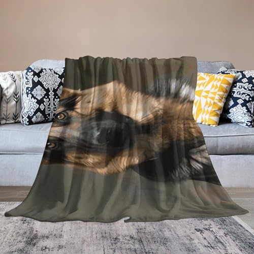 Couverture en flanelle pour chien idéale pour protéger le canapé et le lit - 7