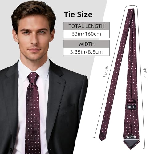 Image of Hi-Tie 63 inches Striped Paisley Extra Long Ties for Men Silk Necktie with Lapel Pin Tie Clip Big and Tall Men Formal Wedding