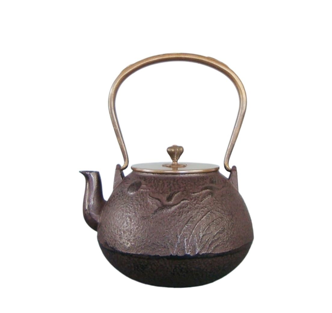 Classica Teiera, Teiera in Ghisa capacità 1,25 L Grande Teiera in Ghisa Bollitore Piano Cottura Sicuro, Rivestimento Tetsubin Amanti del tè