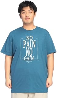 UNDER ARMOUR(アンダーアーマー) Tシャツ 半袖 PERF COTTON GRAPHIC SS メンズ 大きいサイズ LOOSE パフォーマンスコットン グラフィック プリント クルーネック カットソー 6012643
