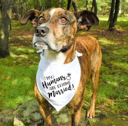 ThaiRoot Hund Hochzeiten Halstuch Weiß My Humans Are Getting Married Hochzeiten Bandana Atmungsaktiver Haustier Schal Triangel-Hundebandana-Schal Hundehalstuch für kleine, mittlere, große Hunde