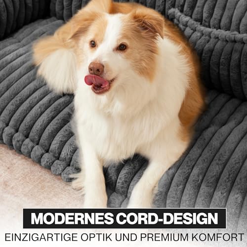 noviclass® Hundesofa Chaffar Hundebett | Orthopädische Matratze | Moderner Stil | Cord-Design Größen (Kohle, XXL (140cm))