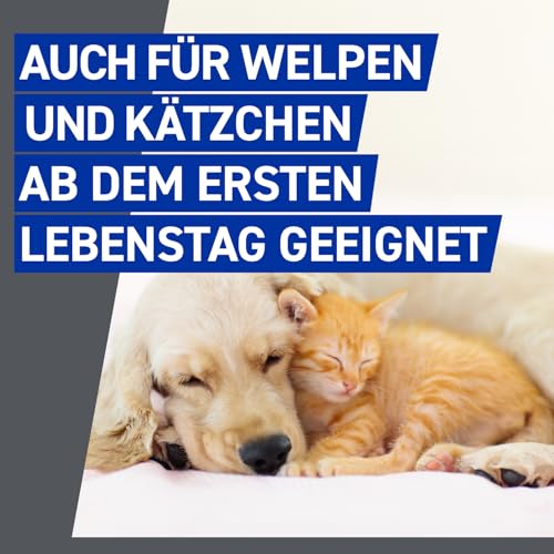 FRONTLINE Spray Hund & Katze gegen Zecken, Flöhe & Haarlinge 100 ml