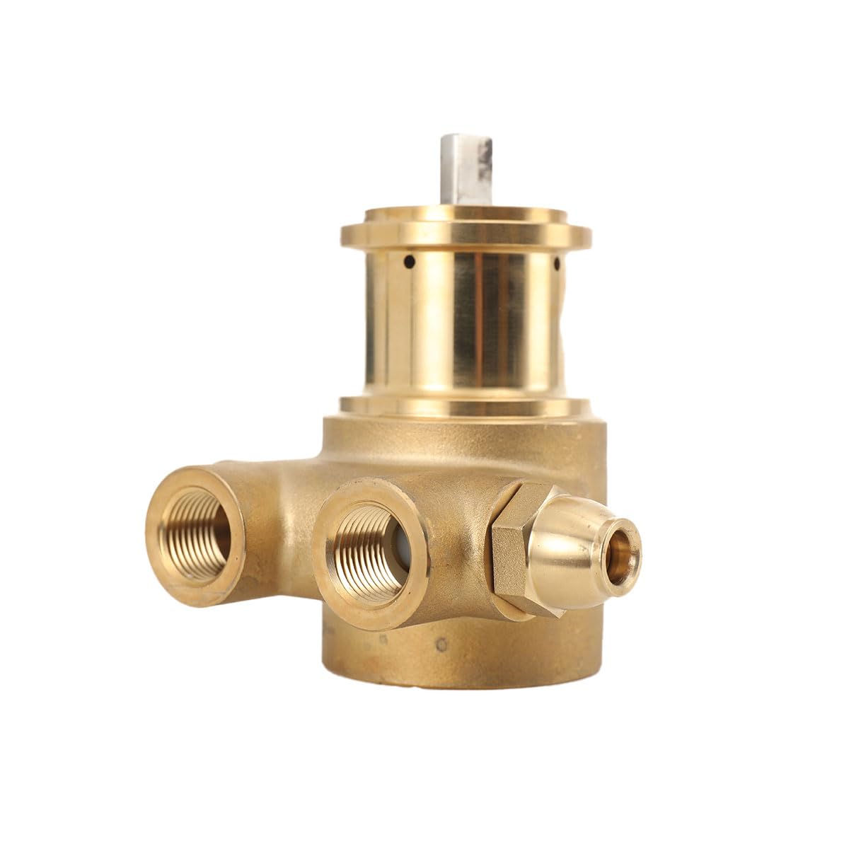 3/8 zoll NPT Messingpumpe, Messing Zerstäubungs Pumpe Drehschieberpumpe