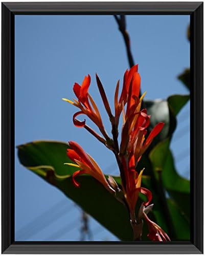 Uzifa 11x14 Picture Frame Photo Poster Frame Picture Frames 11x14- Safety high transparent PC sheet NON GLASS without Mat for Display Certificate as Wall Mount Frame V21114G – BLACK