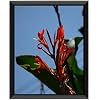 Uzifa 11×14 Picture Frame Photo Poster Frame Picture Frames 11×14- Safety high transparent PC sheet NON GLASS without…