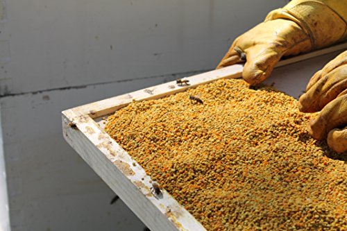 Fresh Bee Pollen Raw Nebraska Bee Pollen 1.5lb Jar miniatura 5